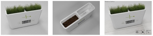 eco invenzioni il giardino in casa senza tempo