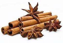 Glossario erbe e spezie aromatiche, cannella