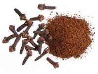 Glossario erbe e spezie aromatiche , chiodi di garofano