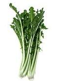 Glossario erbe e spezie aromatiche , cicoria