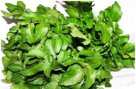 Glossario erbe e spezie aromatiche, crescione