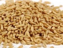 un cereale per ogni giorno della settimana, avena