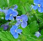 viaggio nelle spezia aromatiche