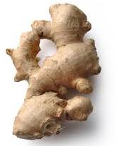 viaggio nelle spezia aromatiche