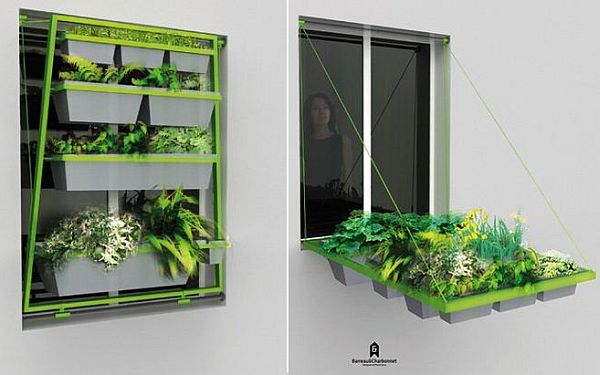 orto urbano_finestra