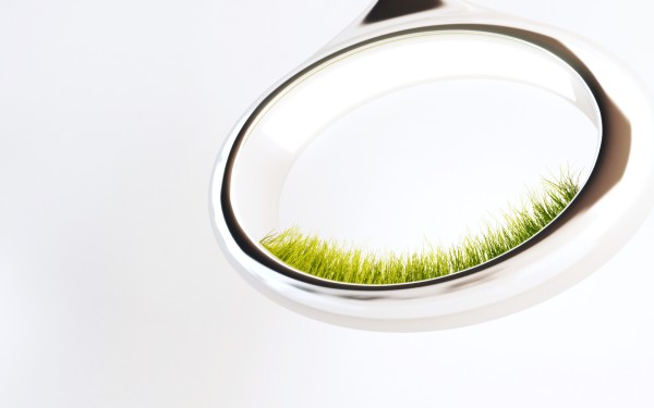 Grass-Lamp 1