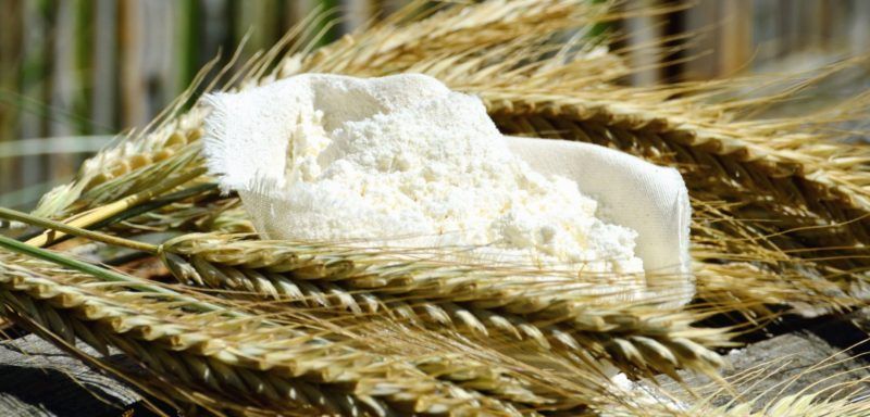 vermi della farina
