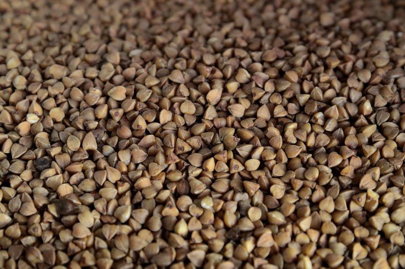 cuscini grano saraceno