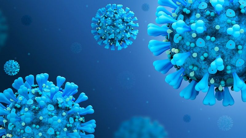 immunità di gregge