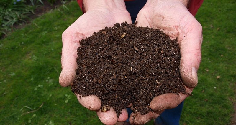 compost