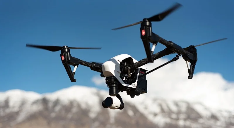 drone pipistrelli