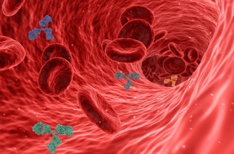 anticorpi monoclonali