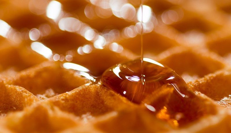 cibo a base di insetti