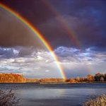 La pace nel mondo passa dal rispetto per l'ambiente. Ecco le strategia della natural security.