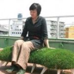 Design e natura, nasce l'oggetto vivente, scopri cos'e'