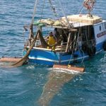 IN VIGORE IL FERMO PESCA NEI NOSTRI MARI, SI PARTE DALL'ADRIATICO