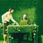 Cerchi un lavoro? La green economy ti aspetta