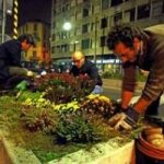 Citta', con il guerriglia gardening per riconquistare gli spazi verdi
