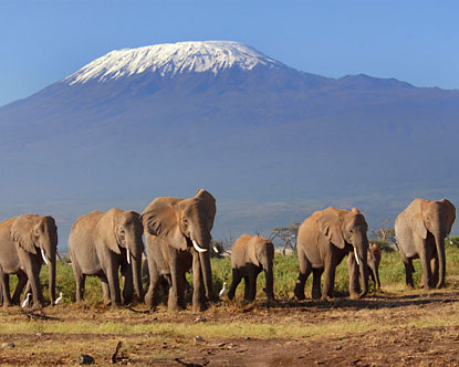 Meraviglie del Mondo. Kilimanjiaro