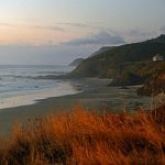 In Oregon si nuota nel caffe': mare inquinato da caffeina