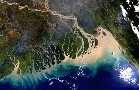 Delta del_fiume_Gange