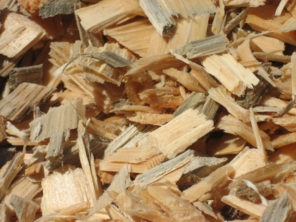 Biomasse legnose._cippato