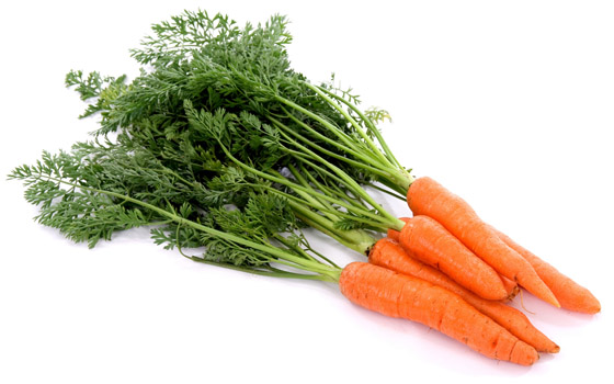 orto-in-casa-carote