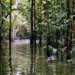 La foresta dell’Amazzonia è una fabbrica di nuvole