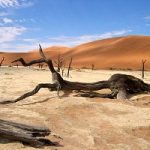 Death Valley, il luogo piu’ caldo del mondo