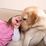 Cani al Bambino Gesu', per la cura dei piccoli pazienti
