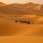 Lo sapete che il deserto suona?