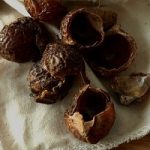 Pulizie Ecologiche: le noci di sapone per un bucato ecologico