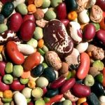 TelematicBio: i cibi biologici si possono acquistare anche online