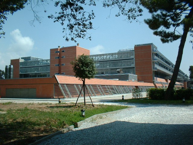 Ospedale Versilia