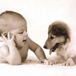 Cane in casa: bambini piu’ sani e meno infezioni