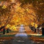 Novembre 2012 tra i piu' caldi dal 1800