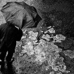 Speciale elezioni/ 24 e 25 Febbraio, se il meteo non fosse favorevole?