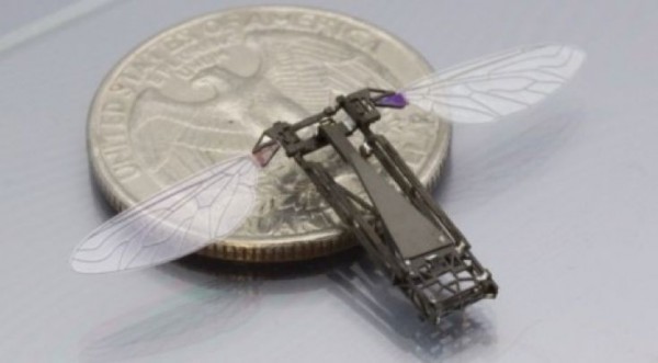 harvard-robobees-e1363019985548