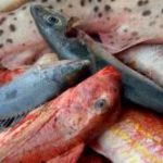 Sulle tavole italiane ci sarà solo pesce importato