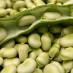 Prodotti tipici italiani a rischio, causa cementificazione e Ogm