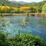 Oasi Wwf, una raccolta fondi per salvaguardare la natura