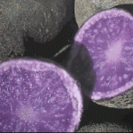 Patate viola e carote nere: ecco i nuovi coloranti naturali per alimenti