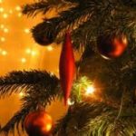 Come smaltire l’albero di Natale?