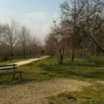 Roma cerca mecenati per riqualificare spazi verdi