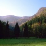 La natura che emoziona, il Parco delle foreste Casentinesi