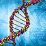 Due persone possono avere lo stesso Dna?