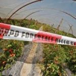 Terra dei fuochi: un piano per certificazione qualita’ terreni