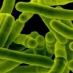 Allarme tubercolosi a Roma