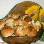 Campionato Mondiale del Fungo sull'Appennino