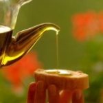 Alimentazione: nascono i prodotti bio del Parco del Gargano